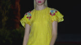 Look 33 DANAI | Short dress in corn-colored embroidered heron